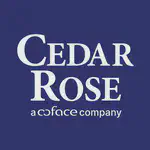 Internship Opportunity: Data Stewardship at Cedar Rose International Services Ltd!